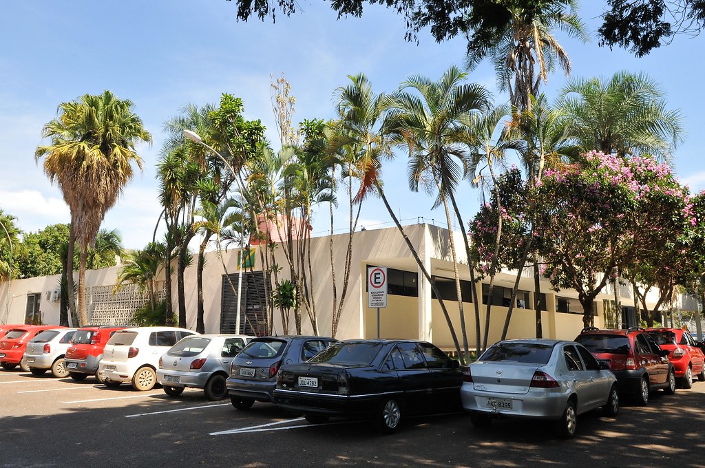 Prefeitura do Gama – serviços, contatos e site oficial